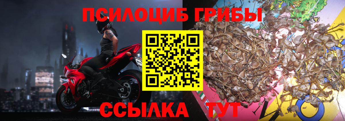 Галлюциногенные грибы мицелий  где можно купить наркотик  Боровичи  Вход с VPN 